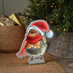 40cm Robin in a Santa Hat Christmas Infinity Light