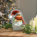 20cm Robin with Scarf Christmas Infinity Light