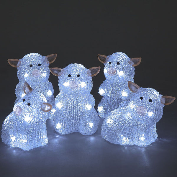 Set of 5 Acrylic Playful Piglets Lit with 50 White LEDs