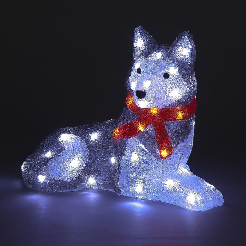 36cm Acrylic Husky with Scarf Lit with 60 White LEDs