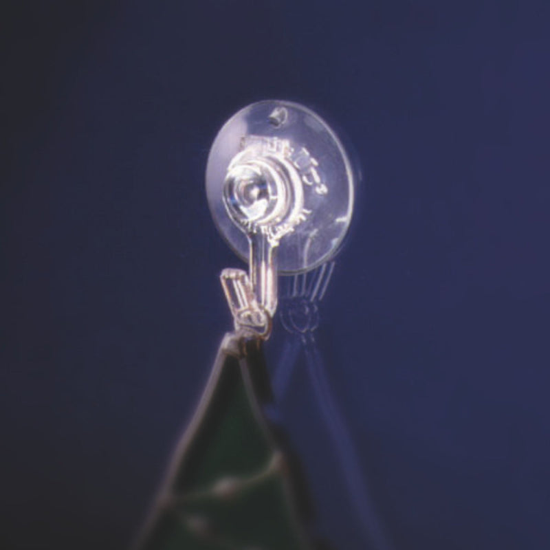 Pack of 24 String Light Suction Hooks