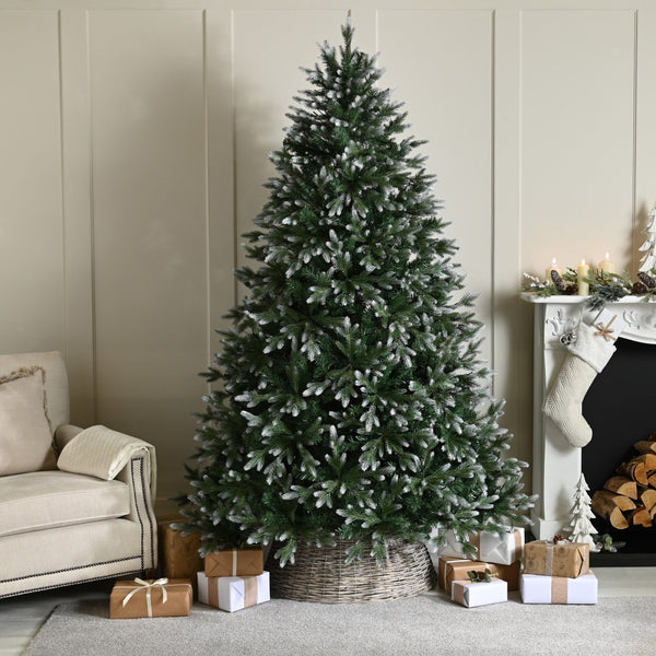 6ft Frosted Belvedere Pine Artificial Christmas Tree