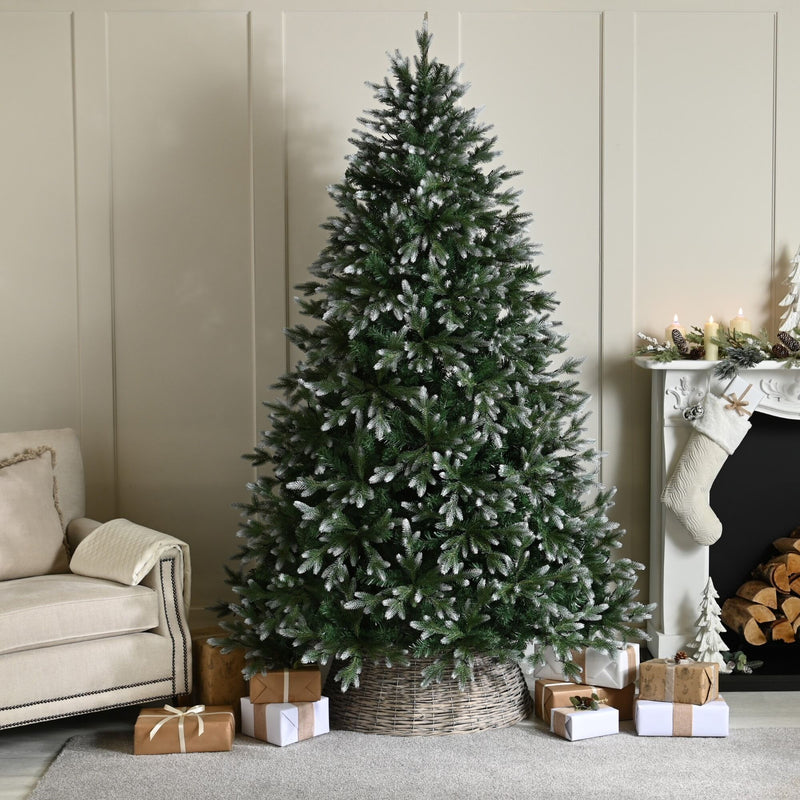 6ft Frosted Belvedere Pine Artificial Christmas Tree