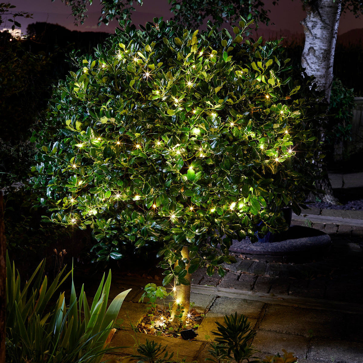 50 Warm White Firefly Solar String Lights