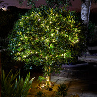 50 Warm White Firefly Solar String Lights