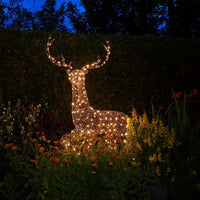 1.9m Warm White Wicker Standing Reindeer with 320 LEDs