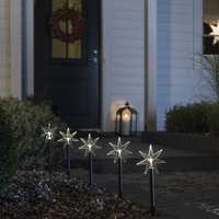 Set of 5 Warm White Star Stake Pathway Lights