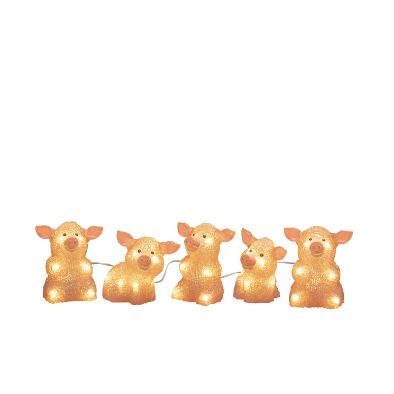 Set of 5 Pink Acrylic Pigs Lit with 40 Warm White LEDs