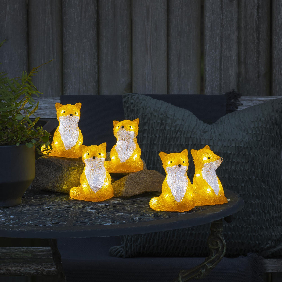 Set of 5 Acrylic Foxes with LED Lights