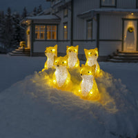 Set of 5 Acrylic Foxes with LED Lights - 2