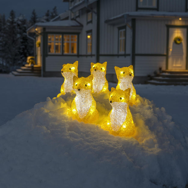 Set of 5 Acrylic Foxes with LED Lights