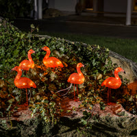Set of Five Acrylic Flamingos with 40 White LEDs