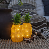 LED Lit Acrylic Pineapple