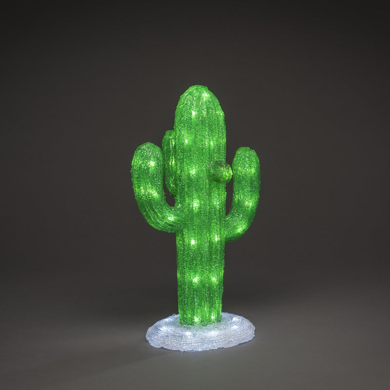 Acrylic LED Lit Cactus