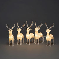 Set of 5 Acrylic Reindeer Lit with White LEDs