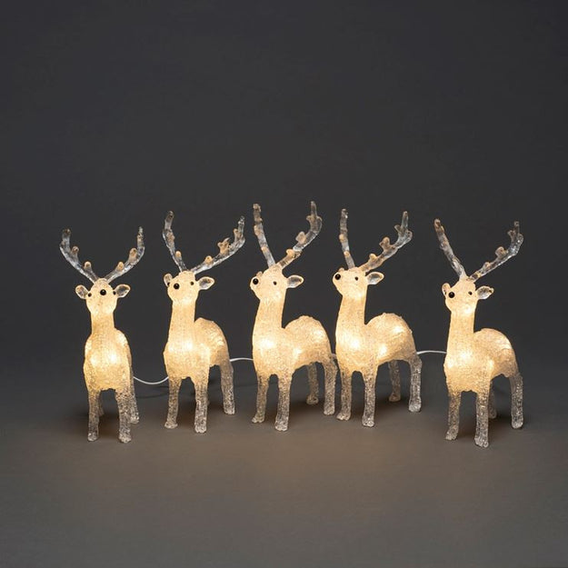 Set of 5 Acrylic Reindeer Lit with White LEDs