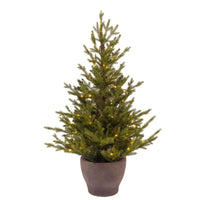 3ft Norway Spruce Potted Artificial Christmas Tree with 60 Warm White LEDs