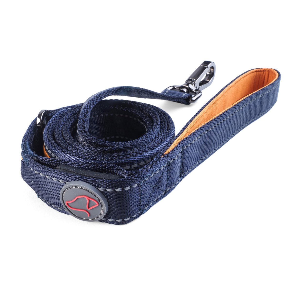 USB Rechargeable Dog Lead