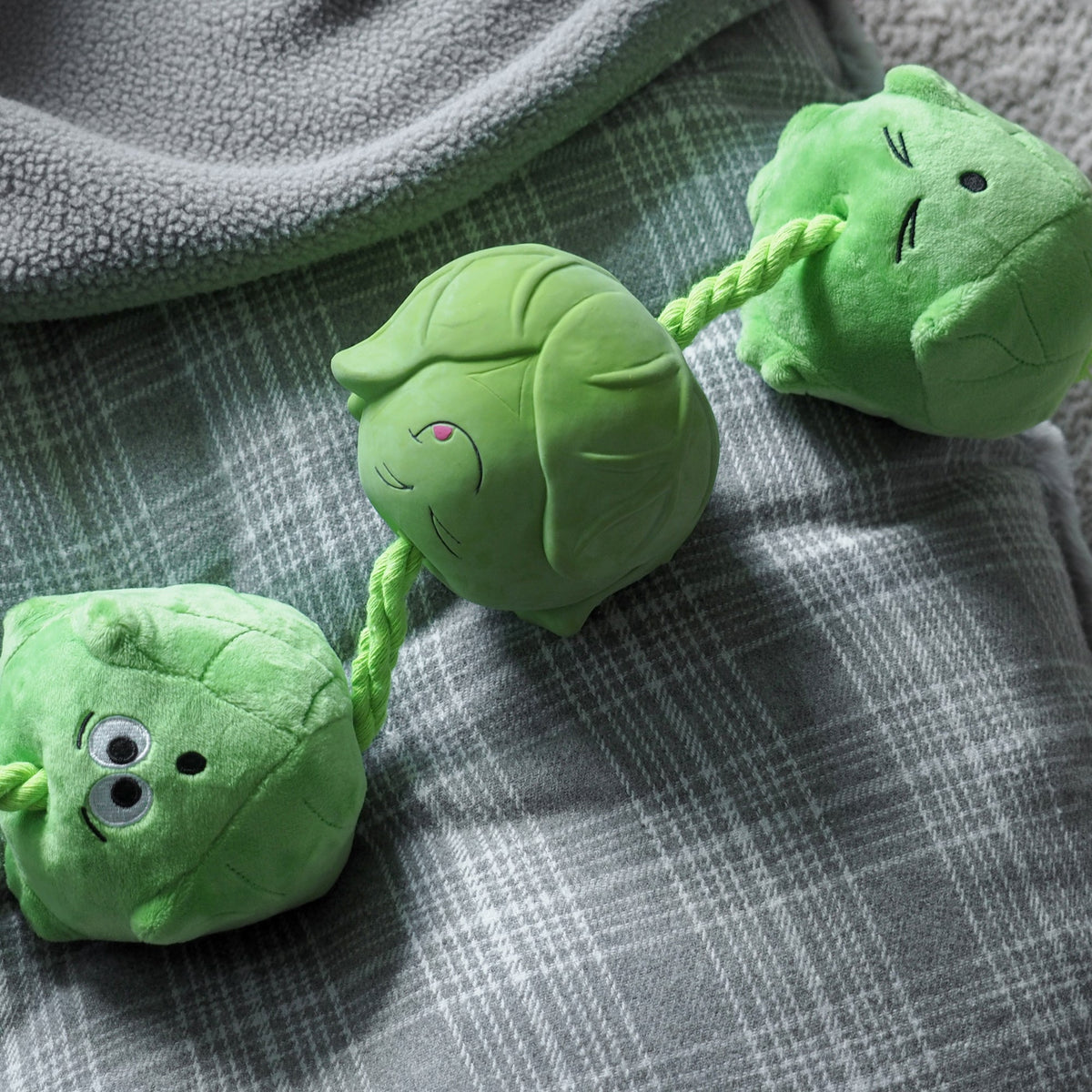Tugga Sprouts