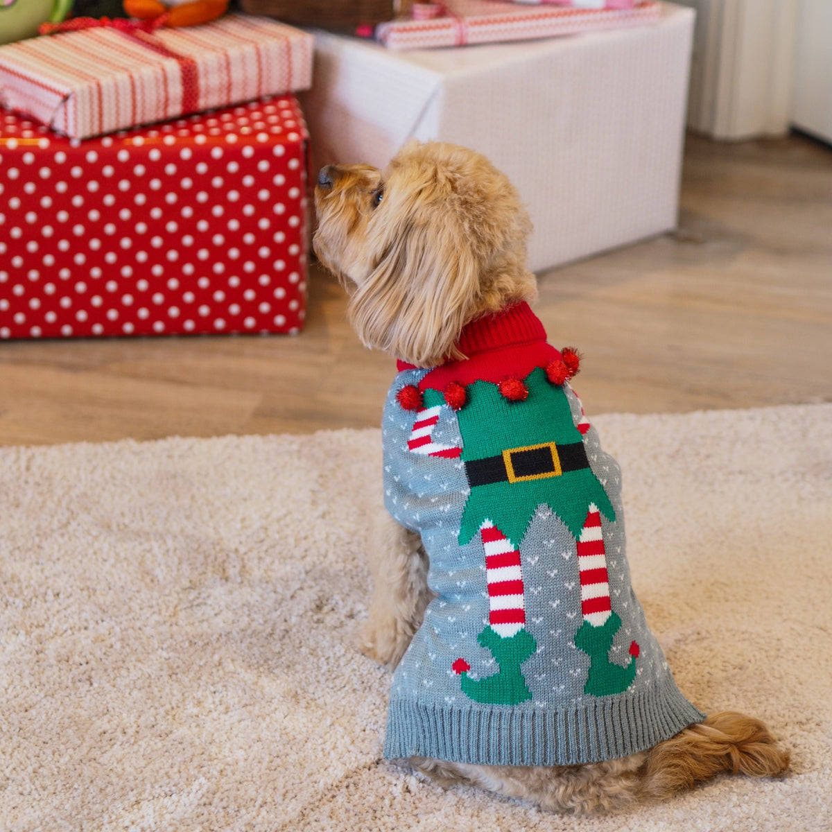 Merry Elf Dog Christmas Jumper 35cm