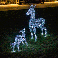 Set of 2 Colour Changeable Deer & Fawn with Remote Control