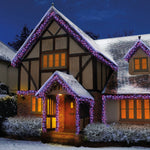 3000 Rainbow Multi Action LED Cluster Lights with Timer