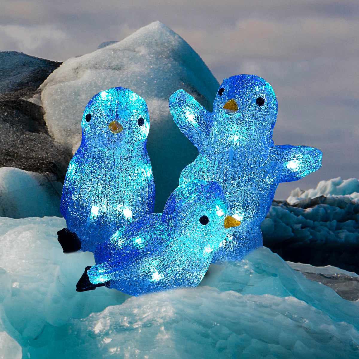 Set of 3 Acrylic Playful Penguins Lit with 30 White LEDs
