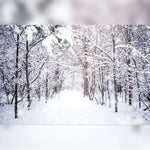 Snow-Covered Forest with Snowy Path Opening Printed Outdoor PVC Banner 2.4m x 4m