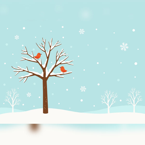 Cartoon Tree with Robins and Snow Printed Outdoor PVC Banner 2.4m x 4m