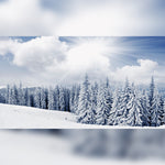 Winter Forest Scene Printed Outdoor PVC Banner 2.4m x 4m