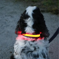 USB Rechargeable Dog Collar Large