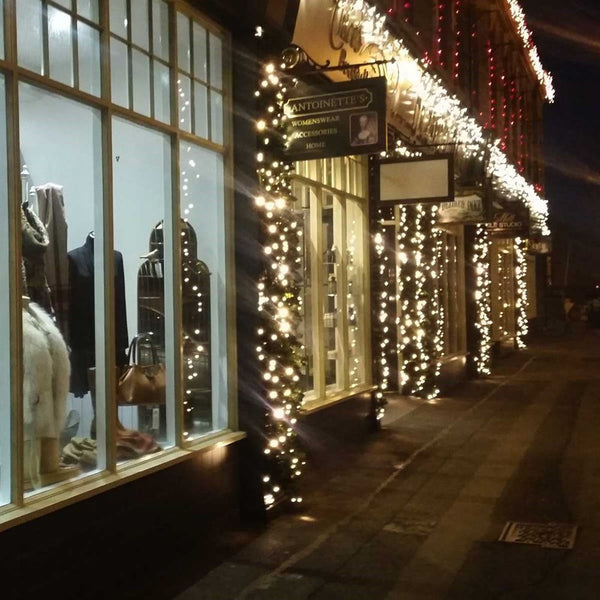 2.9m XP Connectable Outdoor Christmas Garland with 100 Warm White LEDs