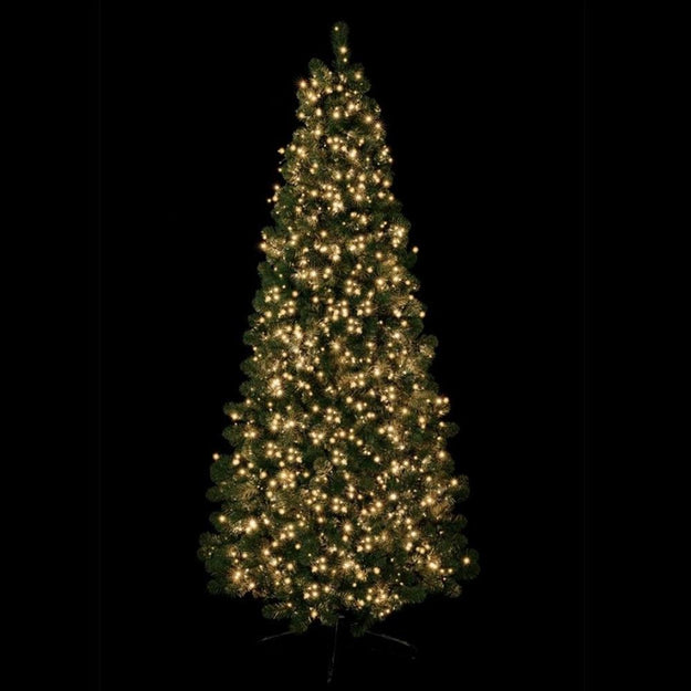 2000 Vintage Gold Treebrights Multi Action LED Lights with Timer