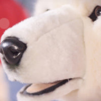 5 Piece Fully Animated Singing Polar Bear Christmas Choir