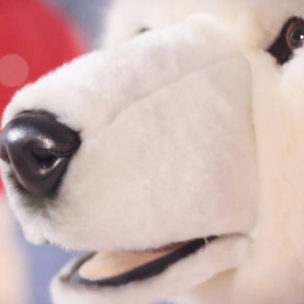 5 Piece Fully Animated Singing Polar Bear Christmas Choir