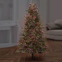 2000 Rainbow Treebrights Multi Action LED Lights with Timer